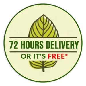 72 hour Delivery or its Free*