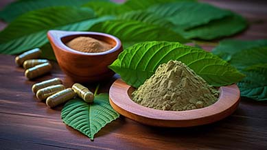 PremierSpeciosa -Pure Kratom